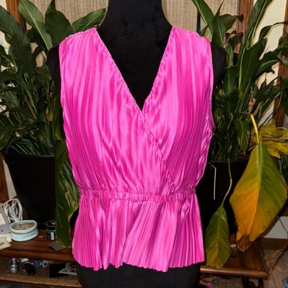 Japna Pink Sleeveless Pleated Blouse